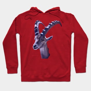 Capricorn Hoodie